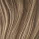 Brown with Blonde Highlights