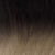 Black to Ash Blonde