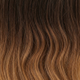 Light Brown and Light Auburn Tips