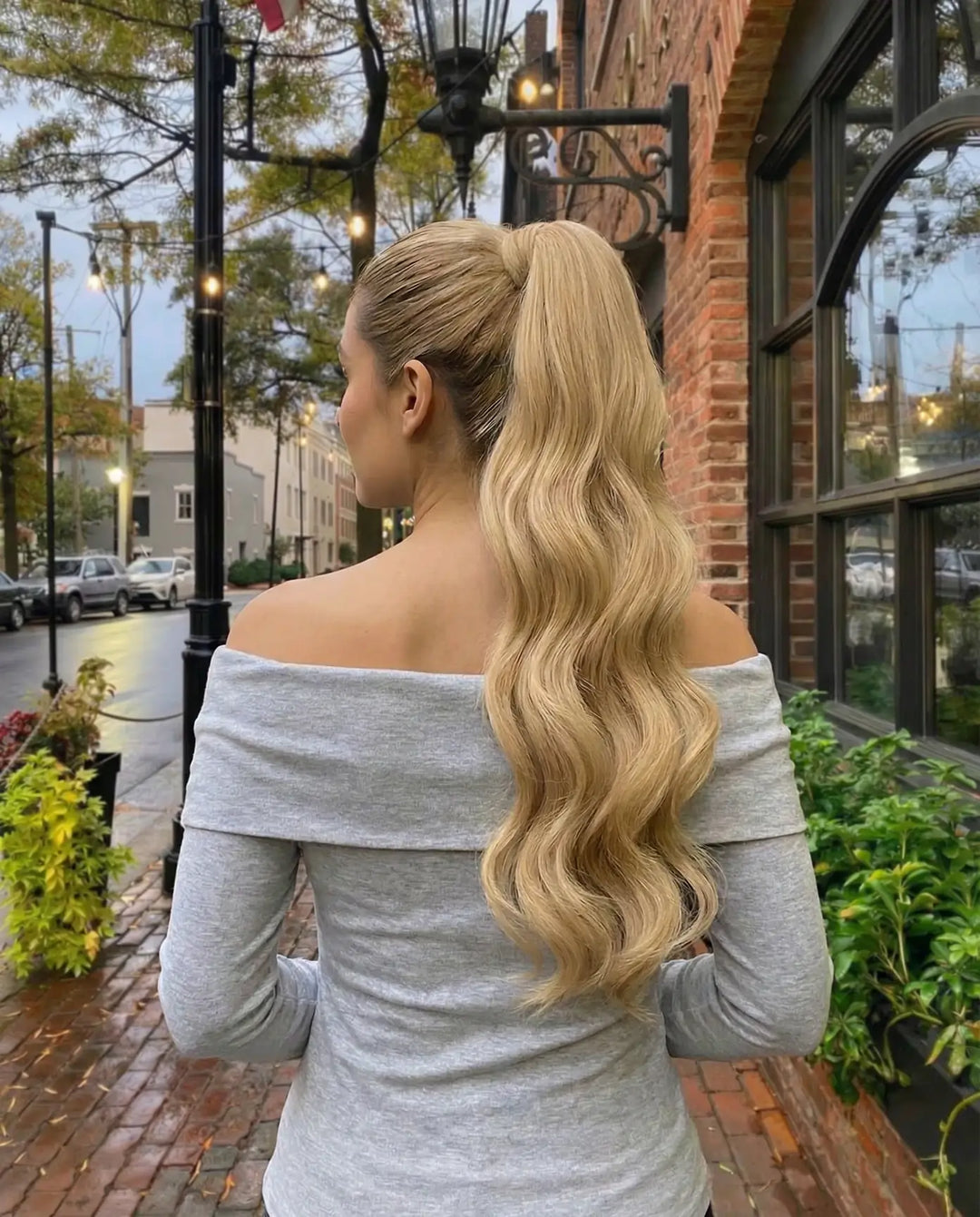 Wavy Ponytail