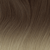 Dark Ash Blonde to Light Ash Blonde