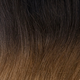 Black to Golden Auburn
