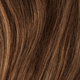 Brown with Golden Auburn Highlights