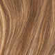 Light Brown with Blonde Highlights